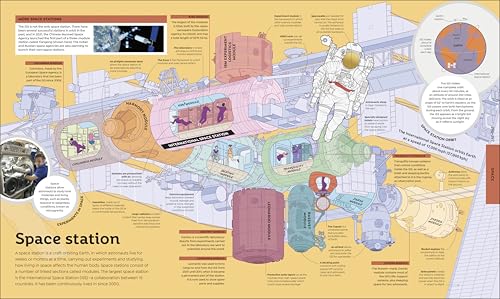 How Everything Works: From Brain Cells to Black Holes