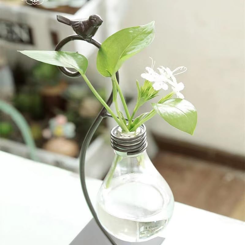 Calnegaris Desktop Glass Planter Hydroponics Vase, Planter Bulb Vase with Holder, Creative Bird Lant Terrarium Stand for Home Decor, for Flowers, Succulents, Propagation