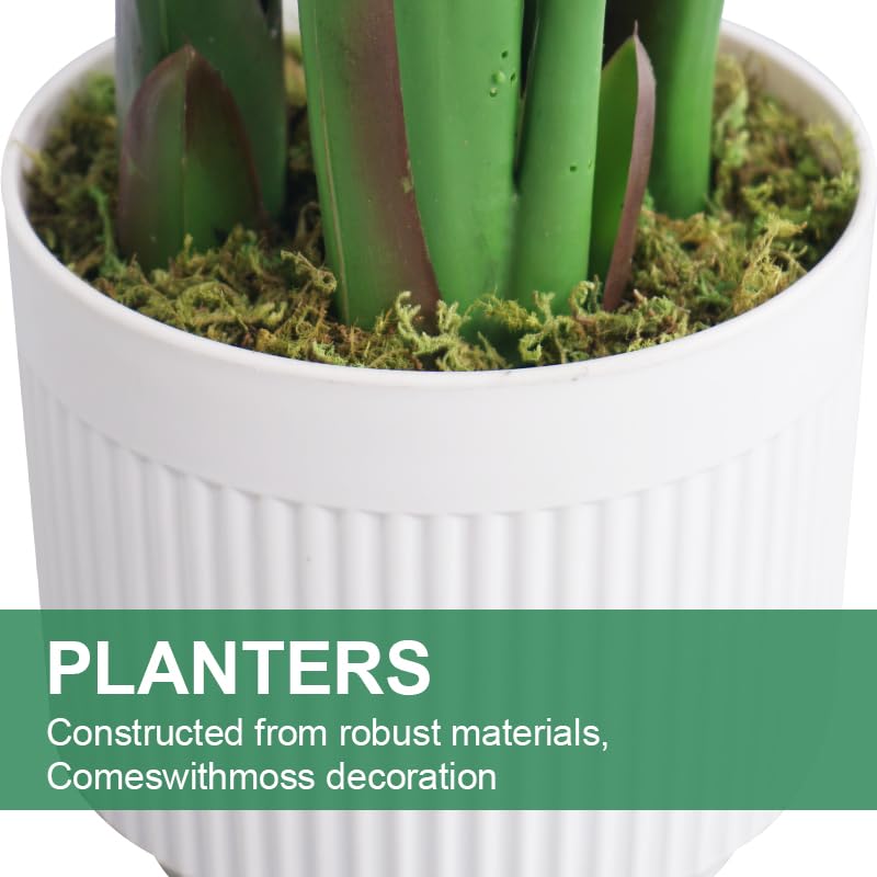 Bird of Paradise Plant Artificial 5ft,Faux Plants Indoor Tall with 10 Trunks - The Perfect Indoor Silk Floor Plant for Home Decor in Living Room, Office, and Bedroom (5FT Bird of Paradise)