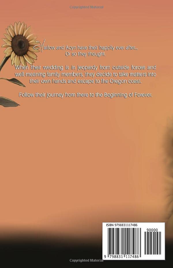 The Beginning of Forever: A Sunshine + Ace Story (Rise & Fall Series)