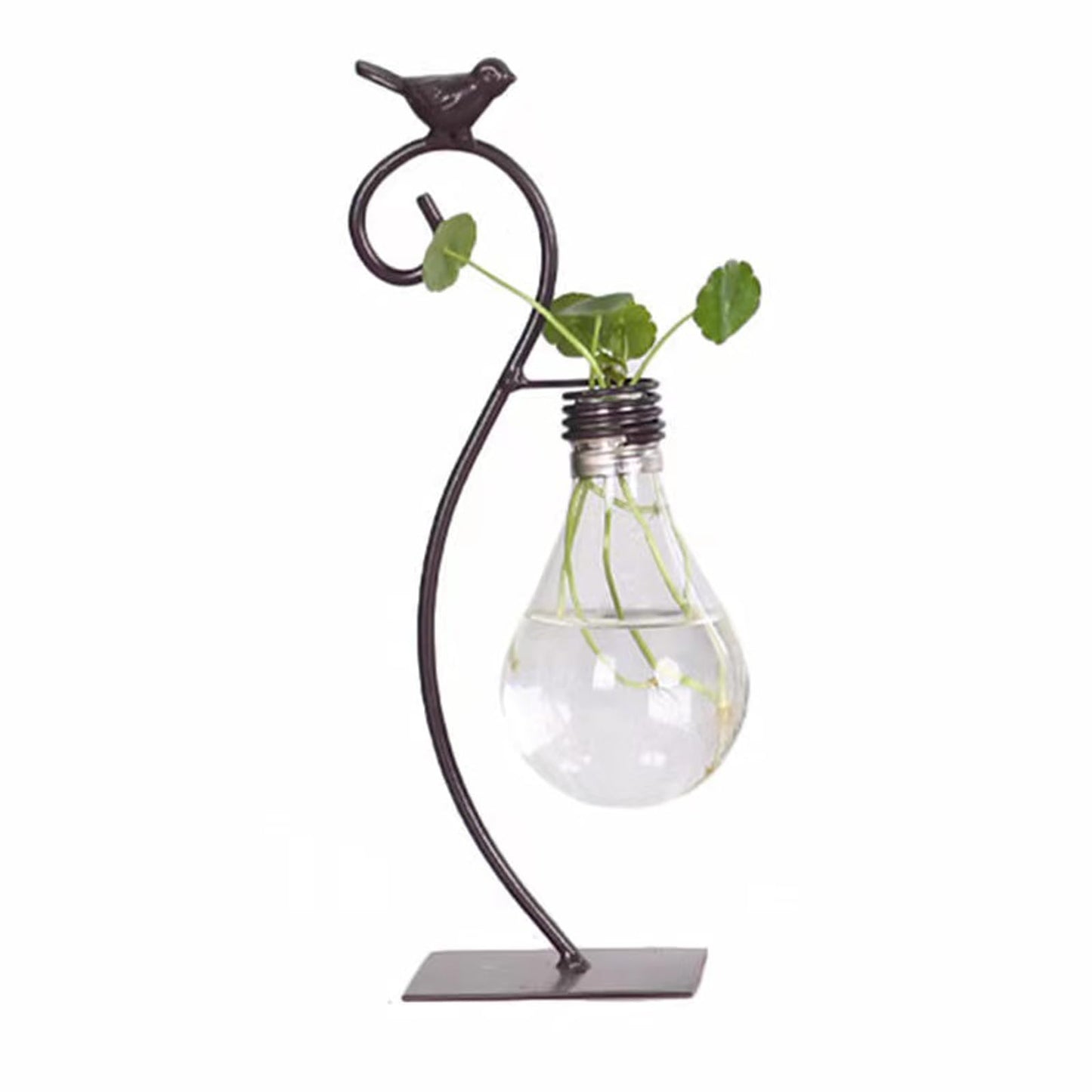 Calnegaris Desktop Glass Planter Hydroponics Vase, Planter Bulb Vase with Holder, Creative Bird Lant Terrarium Stand for Home Decor, for Flowers, Succulents, Propagation