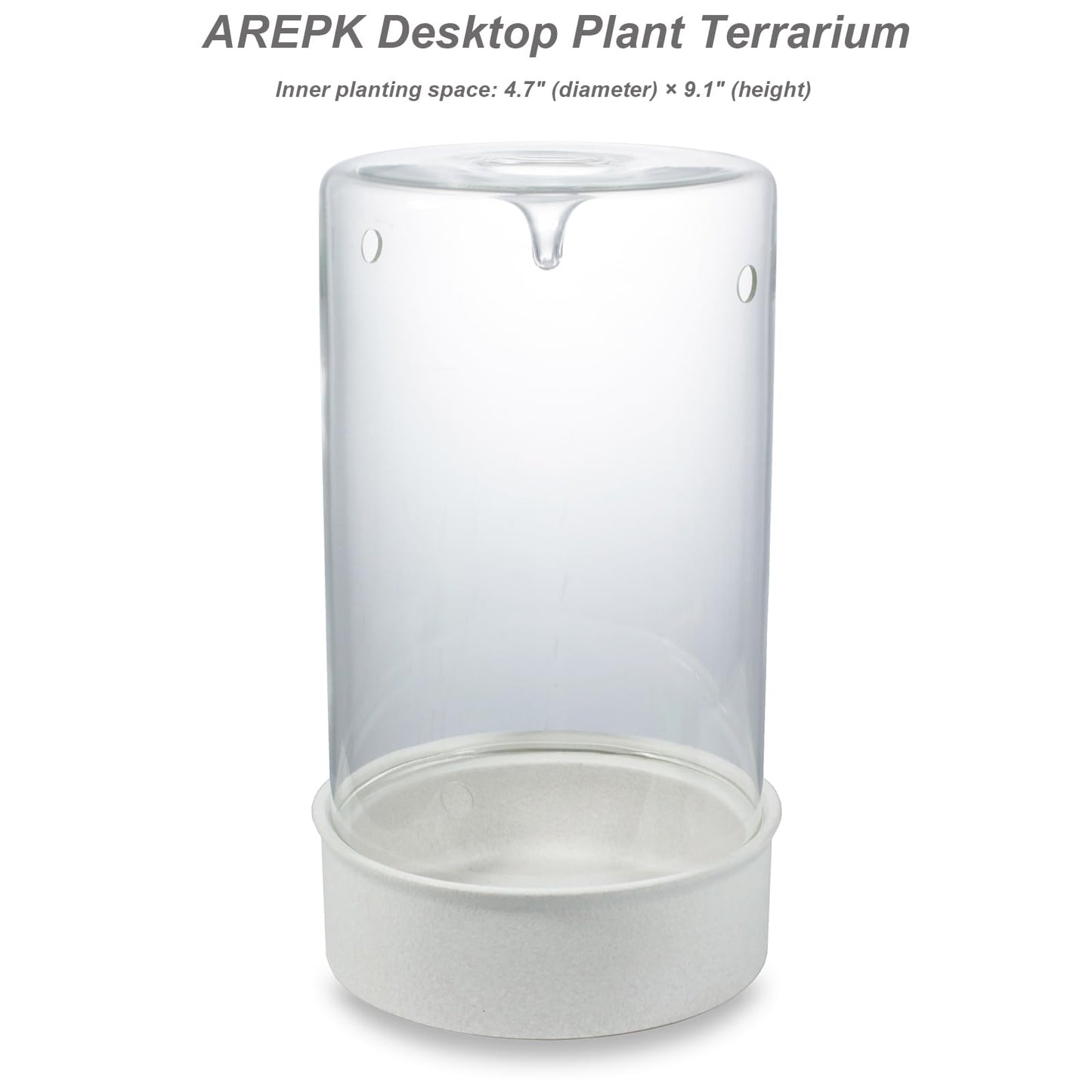 Desktop Plant Terrarium with Ceramic Base and Glass Cover (H:9.6" D:5.3"), Self-Sustaining Ecosystem for Moss, Succulent, Miniature Gardening Landscape, Indoor Decoration, Plant Lovers Gifts