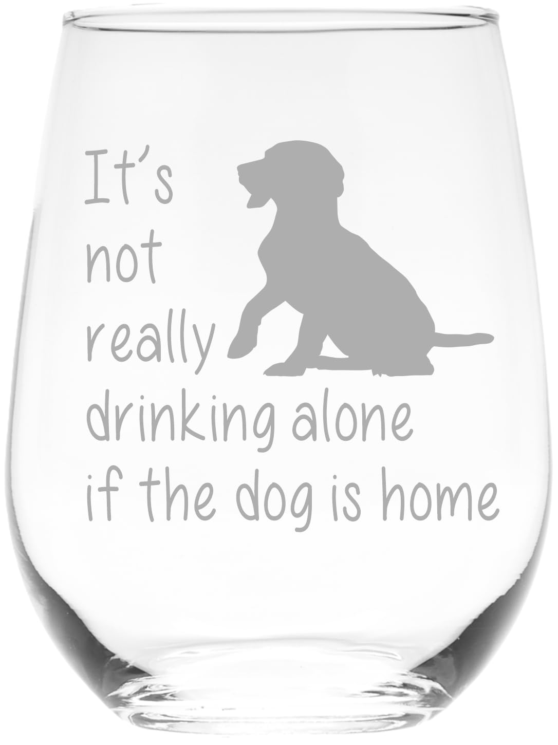 The Dog is Home Funny Stemless Wine Glass for Him, Her, Wife, Husband, Friend, Cute Dog Gift for Men Women - 17 oz (Style D1)