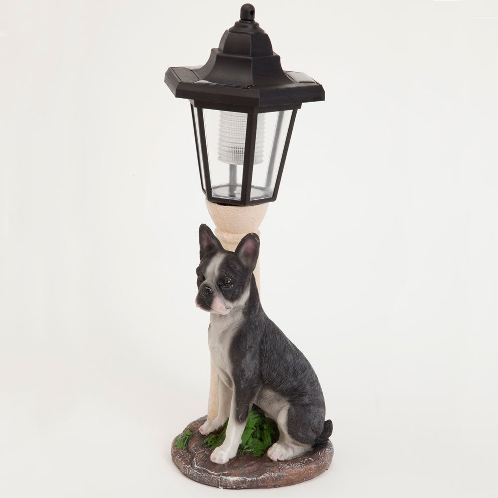 Bits and Pieces - Solar Dog Lantern-Solar Powered Garden Lantern - Resin Dog Sculpture with LED Light (Boston Terrier) - 13.5" Tall