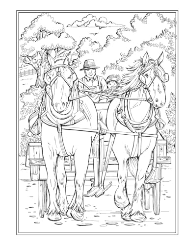 Creative Haven Country Charm Coloring Book (Adult Coloring Books: In The Country)