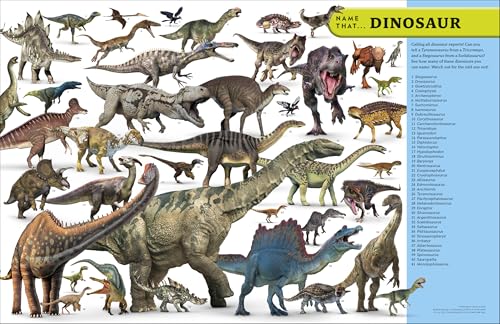 Eyewitness Encyclopedia of Everything: The Ultimate Guide to the World Around You (DK Eyewitness)