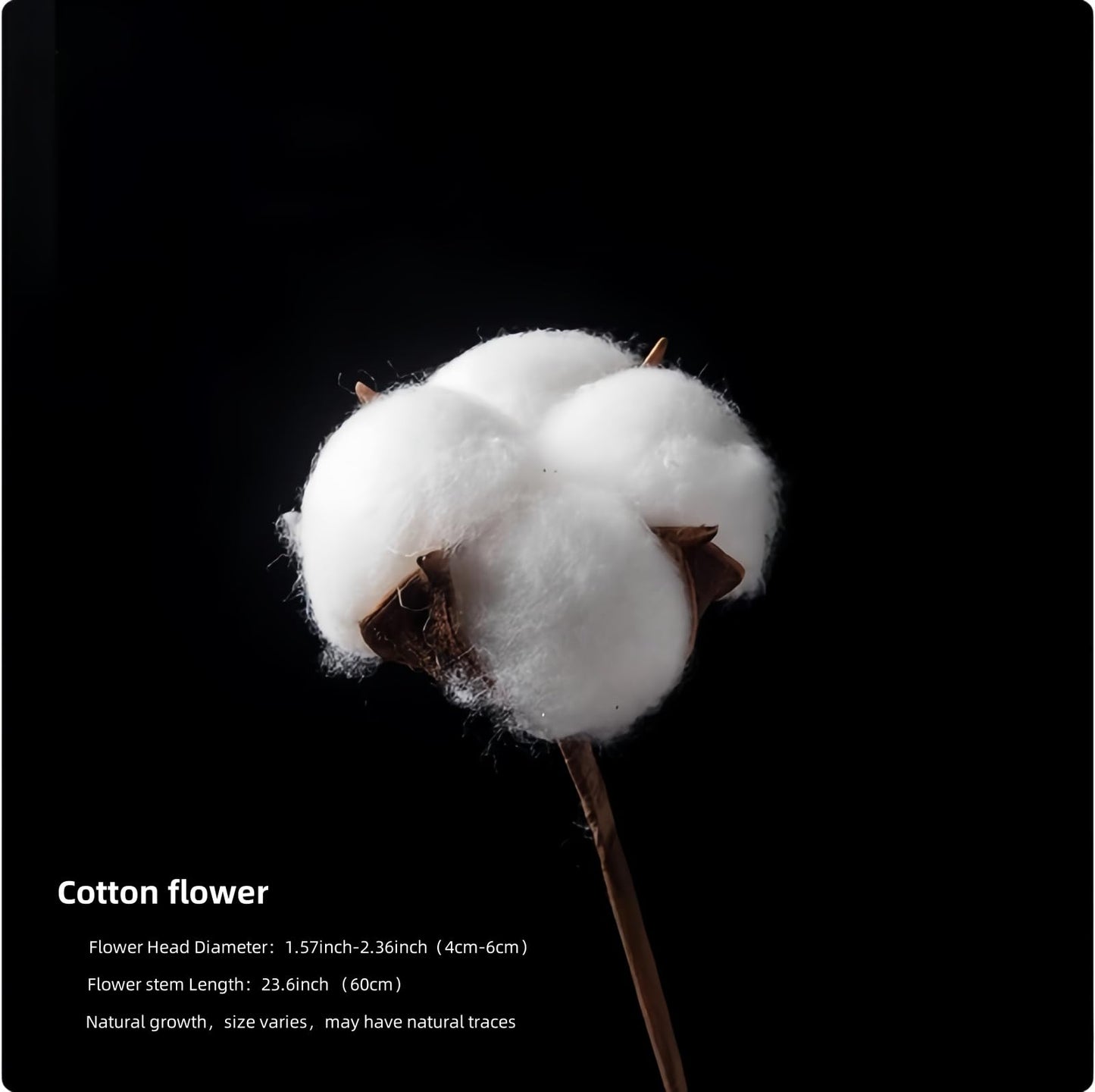 YAOBAOX 5004 Handmade Natural Dried Flowers Decor, for Modem Home Table Vase Decor, Farmhouse Party Floral for DIY Arrangement Props Gift Décor Ikebana (Flower Head and stem are Separate)