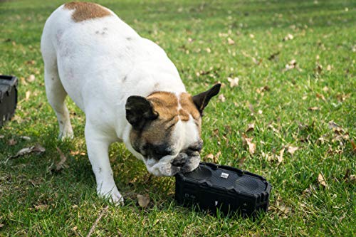 Altec Lansing IMW578L LifeJacket 3, Up to 30 Hours of Battery Life, IP67 Everything Rating: Waterproof, Dirtproof, Snowproof and it Floats! | Royal Blue (IMW578L-RYB)