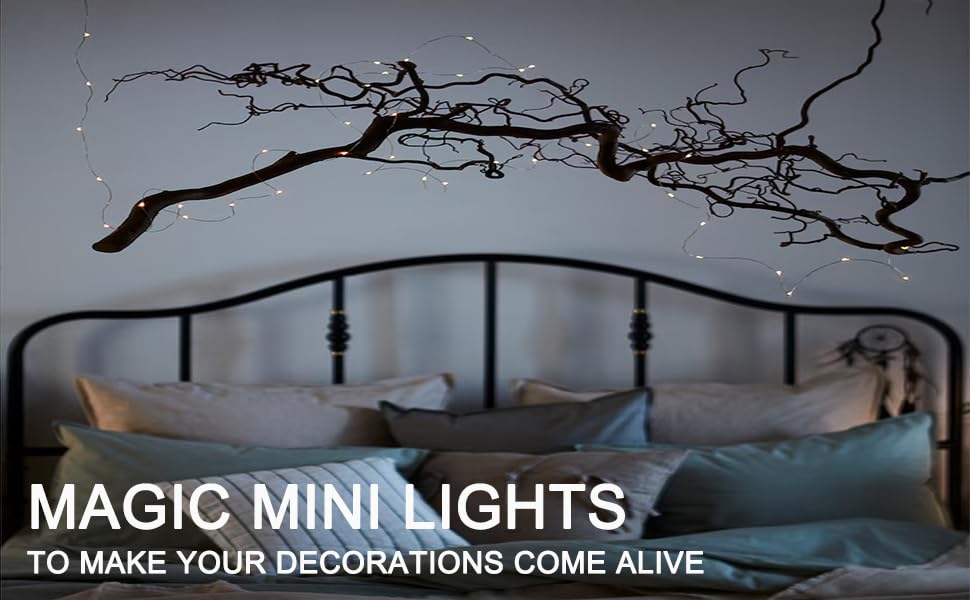 Beingreat 2 Pack USB Plug-in Fairy Lights, 33ft 100 Mini LED Copper String Lights with 8 Modes, USB Starry Lights for Bedroom Wedding Christmas Garden Party DIY Crafting, Warm White
