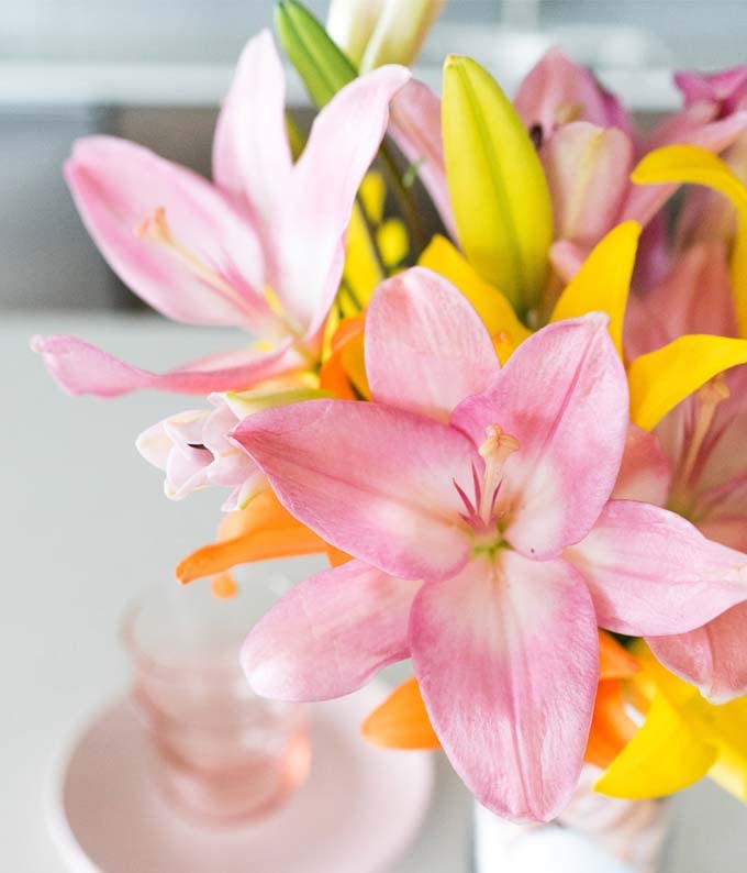 From You Flowers - Stunning Lily Bouquet with Glass Vase (Fresh Flower Bouquets) Birthday, Anniversary, Get Well, Congratulations, Thank You, All Occasions