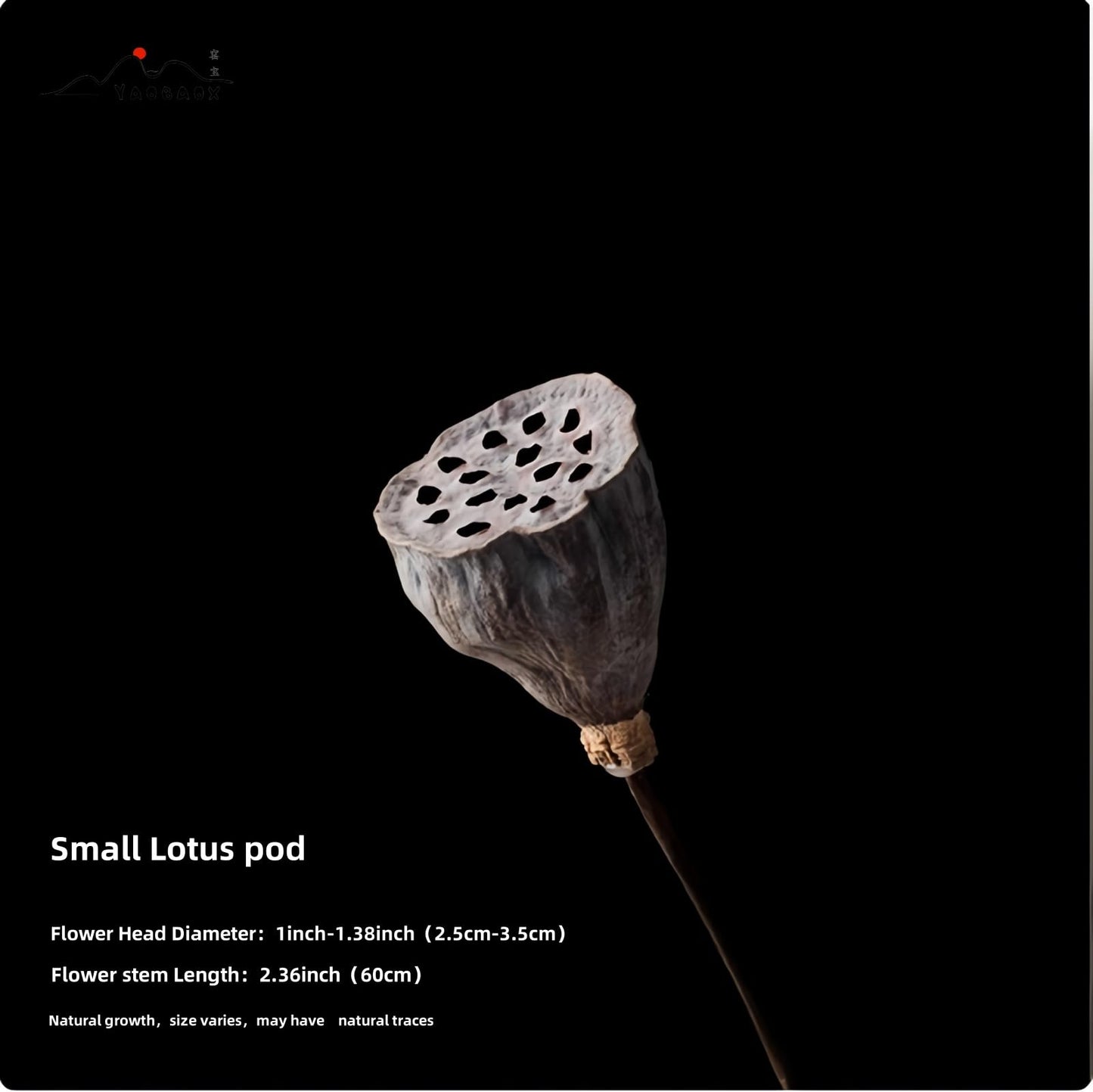 YAOBAOX 5004 Handmade Natural Dried Flowers Decor, for Modem Home Table Vase Decor, Farmhouse Party Floral for DIY Arrangement Props Gift Décor Ikebana (Flower Head and stem are Separate)