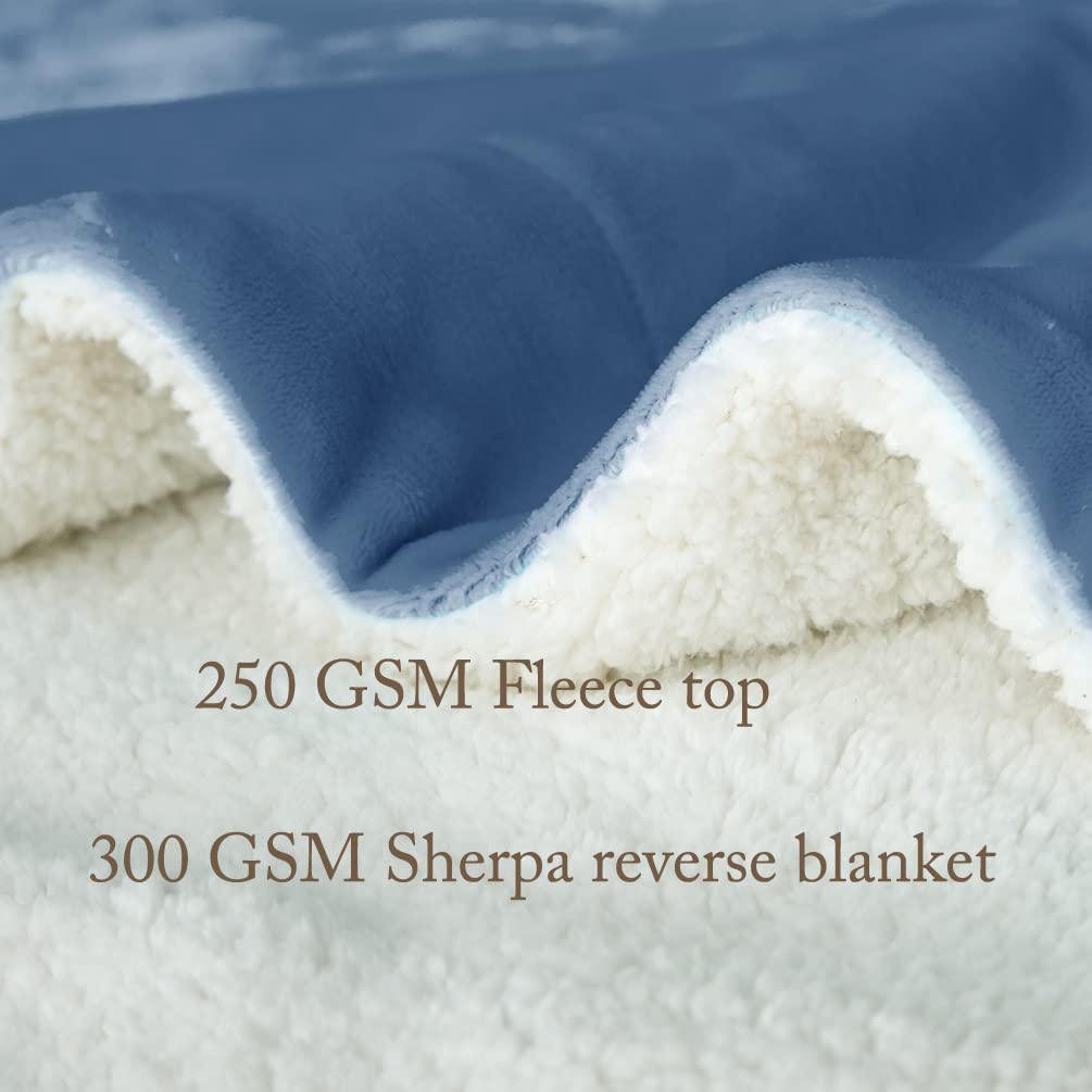 LBRO2M Sherpa Fleece Bed Blanket Queen Size,Super Soft Fuzzy Plush Warm Cozy Fluffy Microfiber Couch Throw Velvet Double Reversible Luxurious Blankets (Light Blue, Queen(90x90 Inches))