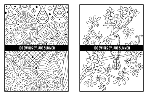 100 Swirls Coloring Book: For Adults with Fun, Easy, and Relaxing Designs