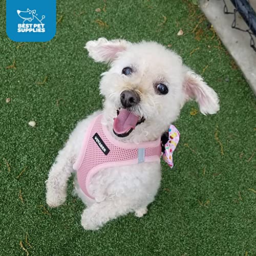 Best Pet Supplies Voyager Step-in Air Dog Harness - All Weather Mesh, Reflective, No Pull Harness for Small, Medium Dogs, Cats - Secure with Hook & Loop Fastener, Buckle, Double D-Rings - Pink, S