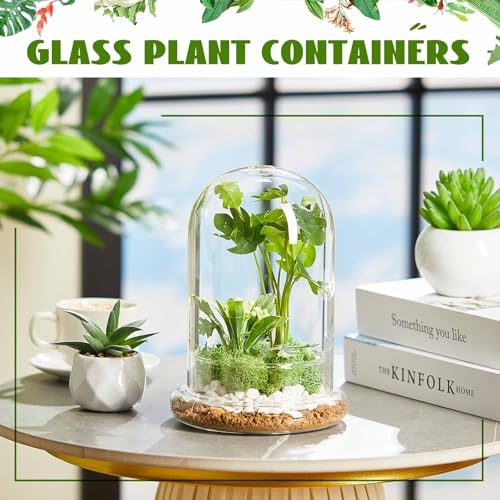 Perthlin 2 Pcs Glass Terrarium 5.9 x 7.9 Inch Terrarium Planter Container Clear Glass Dome Cloche with Airhole and Base for Plant Flower Home Tabletop Display Centerpiece, Plants Not Included