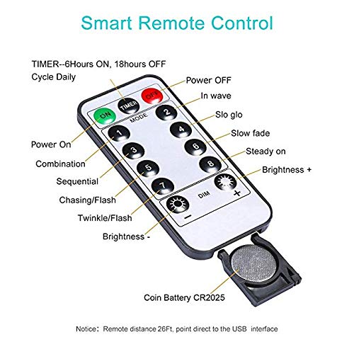 WSgift Dragonfly Decorative String Lights, 18.7 Ft 40 LED USB Plug-in Copper Wire Dragonfly Fairy Lights for Various Decoration Projects (Warm White, Remote Control with Timer)