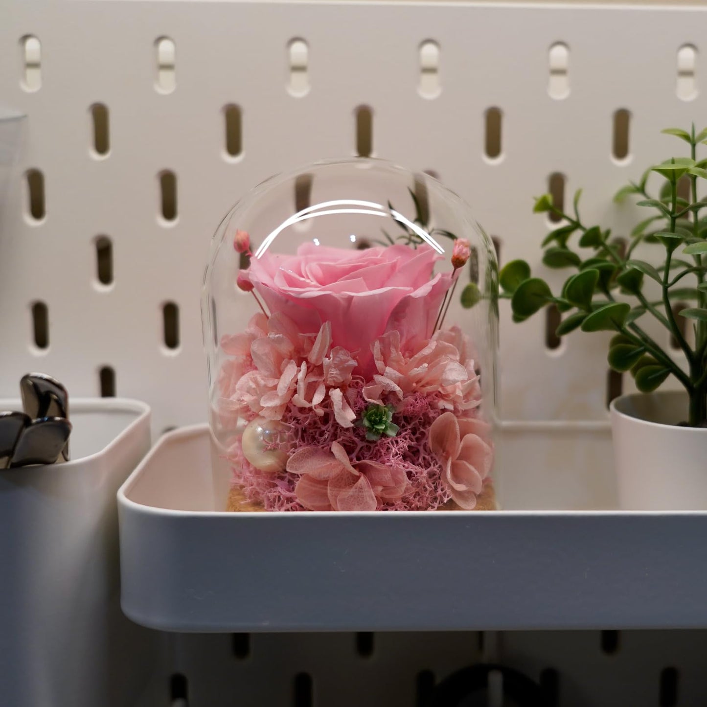 YNWYH Mini Real Preserved Roses in a Glass Dome Gifts for Friends, Classmates, and Dearest Ones (Pink)