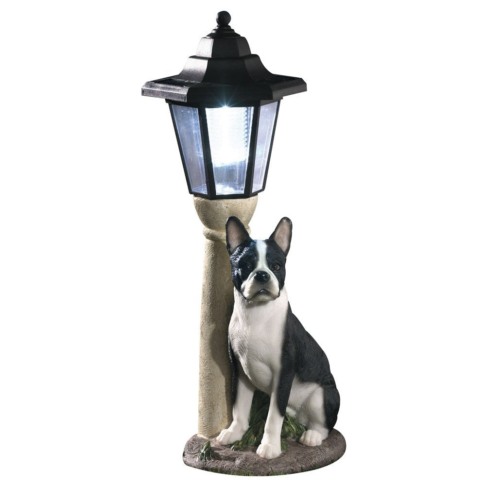 Bits and Pieces - Solar Dog Lantern-Solar Powered Garden Lantern - Resin Dog Sculpture with LED Light (Boston Terrier) - 13.5" Tall