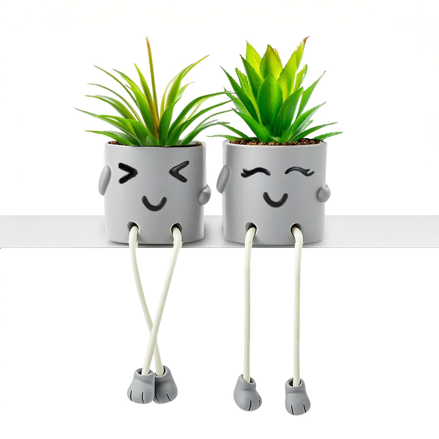 skycoo 2Pack Fake Plants in Cute Pots, Indoor Faux Plants Decorations Lifelike with Artificial Flowers for Office Bathroom Bedroom Living Room Kitchen Home Farmhouse Shelf Decor D