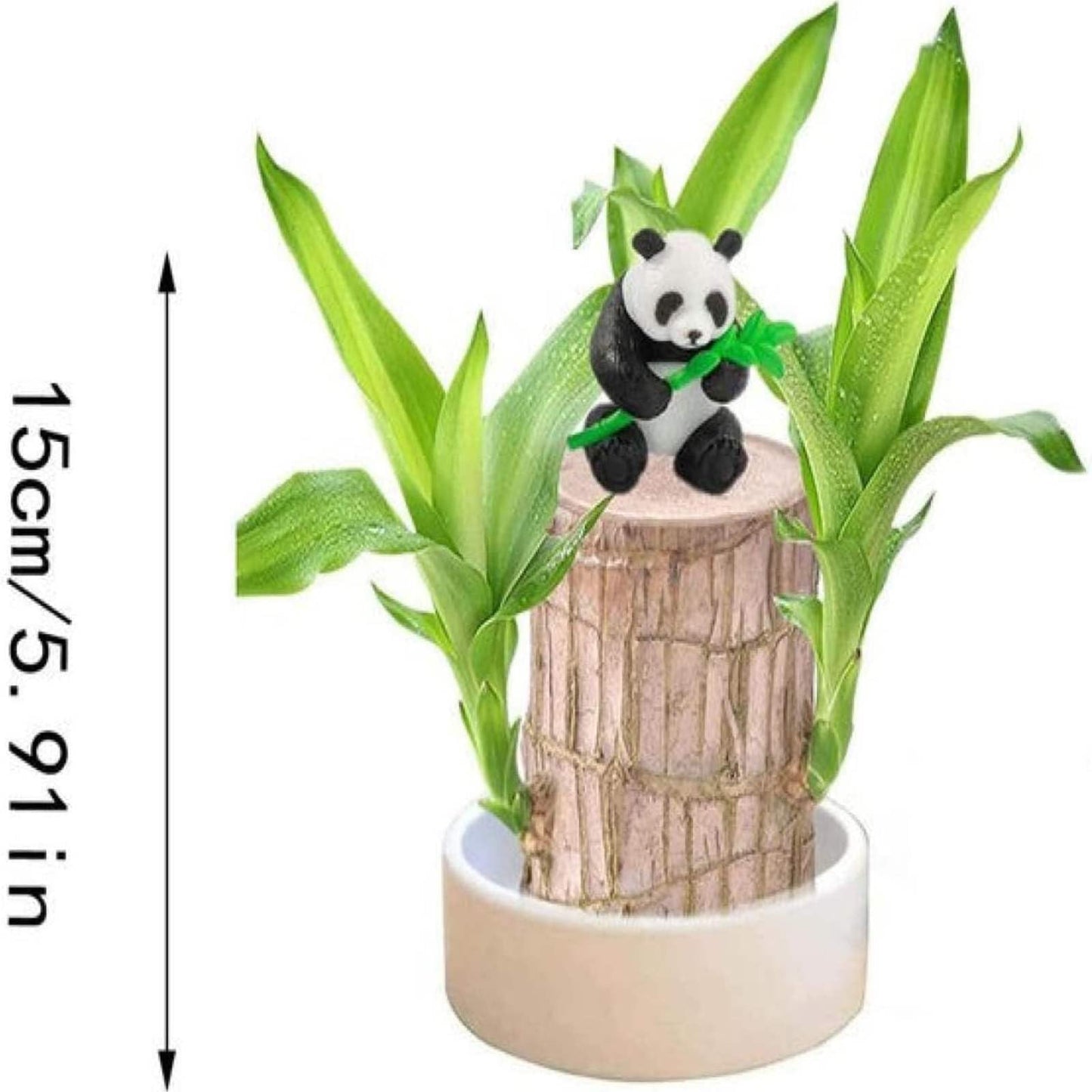 Brazilian Wood,Brazilian Lucky Wood Plant,Mini Sculpture Art,Suitable for Home, Outdoor, Office, Kitchen, Bedroom, Garden Decoration (Yellow)