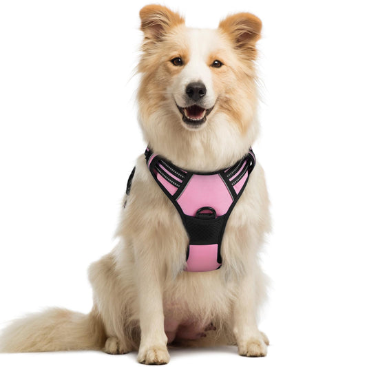 rabbitgoo Dog Harness No Pull with 2 Leash Clips, Adjustable Soft Padded, Reflective Oxford No Choke Pet Vest with Easy Control Handle for Medium Sized Dogs, Pink, M