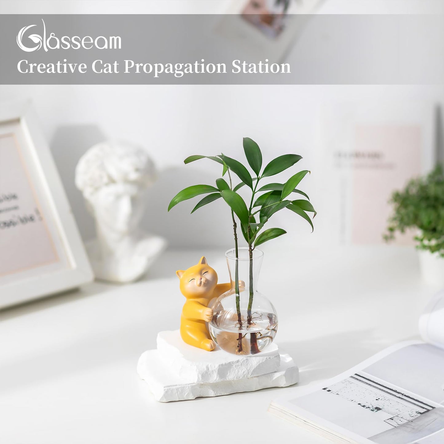Plant Propagation Stations with Cat Statue: Glasseam Propagation Vases for Plants - Hydroponic Glass Terrarium for Home Decor - Funny Propagation Jars Gifts for Women Flower Lovers Cat Dads Moms