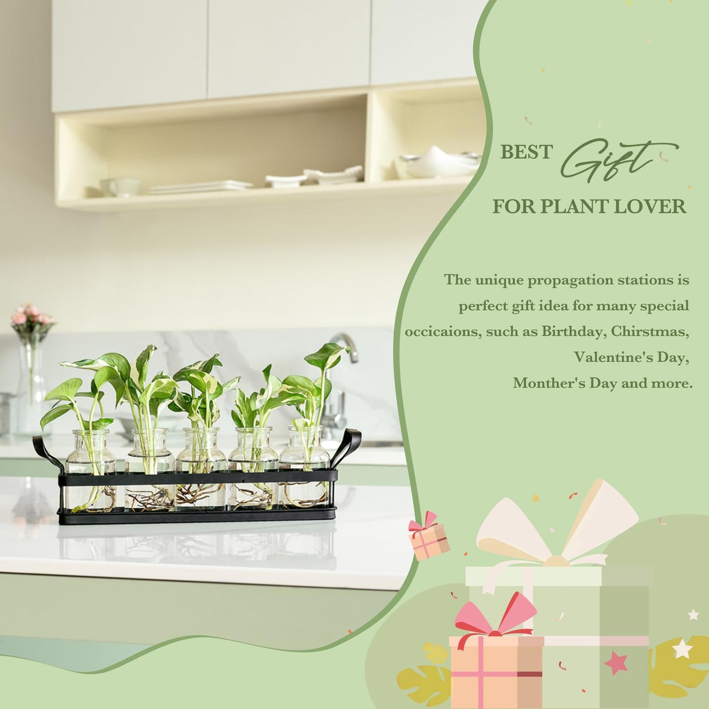 Mkono Propagation Stations with Metal Stand, Desktop Plant Terrarium Glass Planter Vase for Hydroponic Plants Flower Cutting Home Office Garden Decor Plant Lover Gifts, 5 Jars