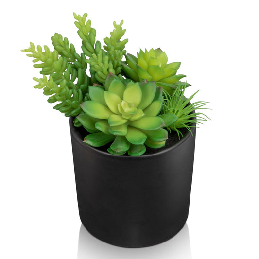 Artificial Succulents in Pots Faux Succulents Plants Fake Succulent Arrangement Potted Plants with Black Ceramic Vase for Office Desk Bathroom Shelf Living Room Indoor Home Decor