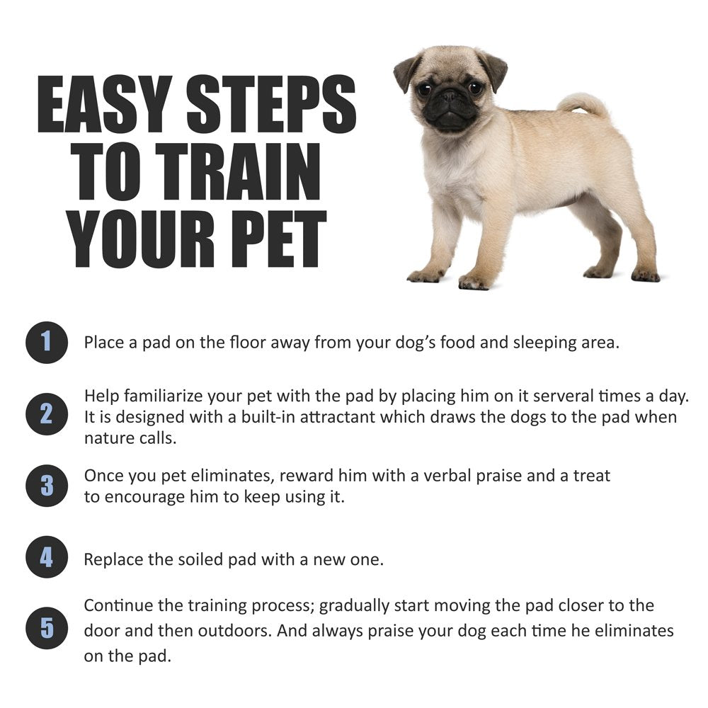 BV Puppy Pads Leak-Proof 100 Count 22"x 22" - Absorbent Pee Pads for Dogs with 6-Layer Design, Rapid Dry Sheet & Built-in Attractant - Dog Pad with Odor Control, Perfect for Puppies & Senior Dogs