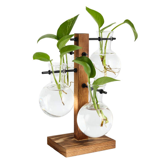 PAG Planter Terrariums Kit Desktop Hydroponics Air Plant Holder with 4 Bulb Beaker Glass Vase and Solid Wood Stand, Home Office Decoration Gardening Gift for Women