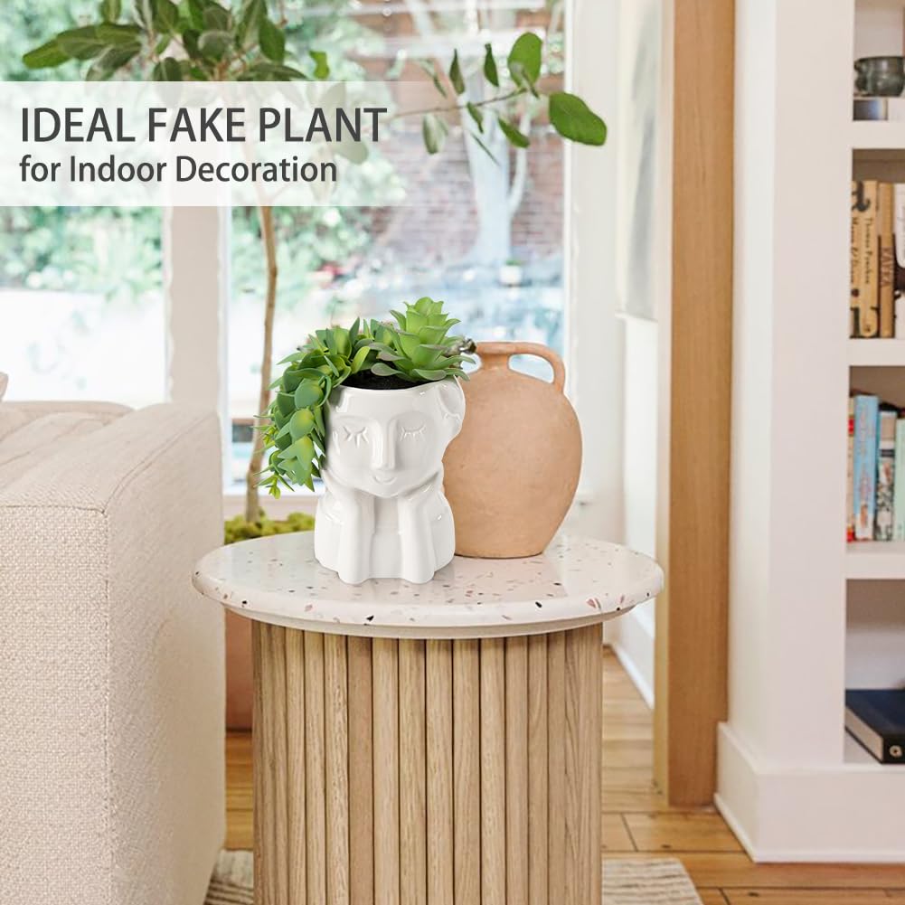 Fake Succulents Plants Artificial Succulents in Ceramic Pots Fake Potted Plants Faux Plants Indoor Fake Plants for Office, Desk, Shelf, Succulent Decor