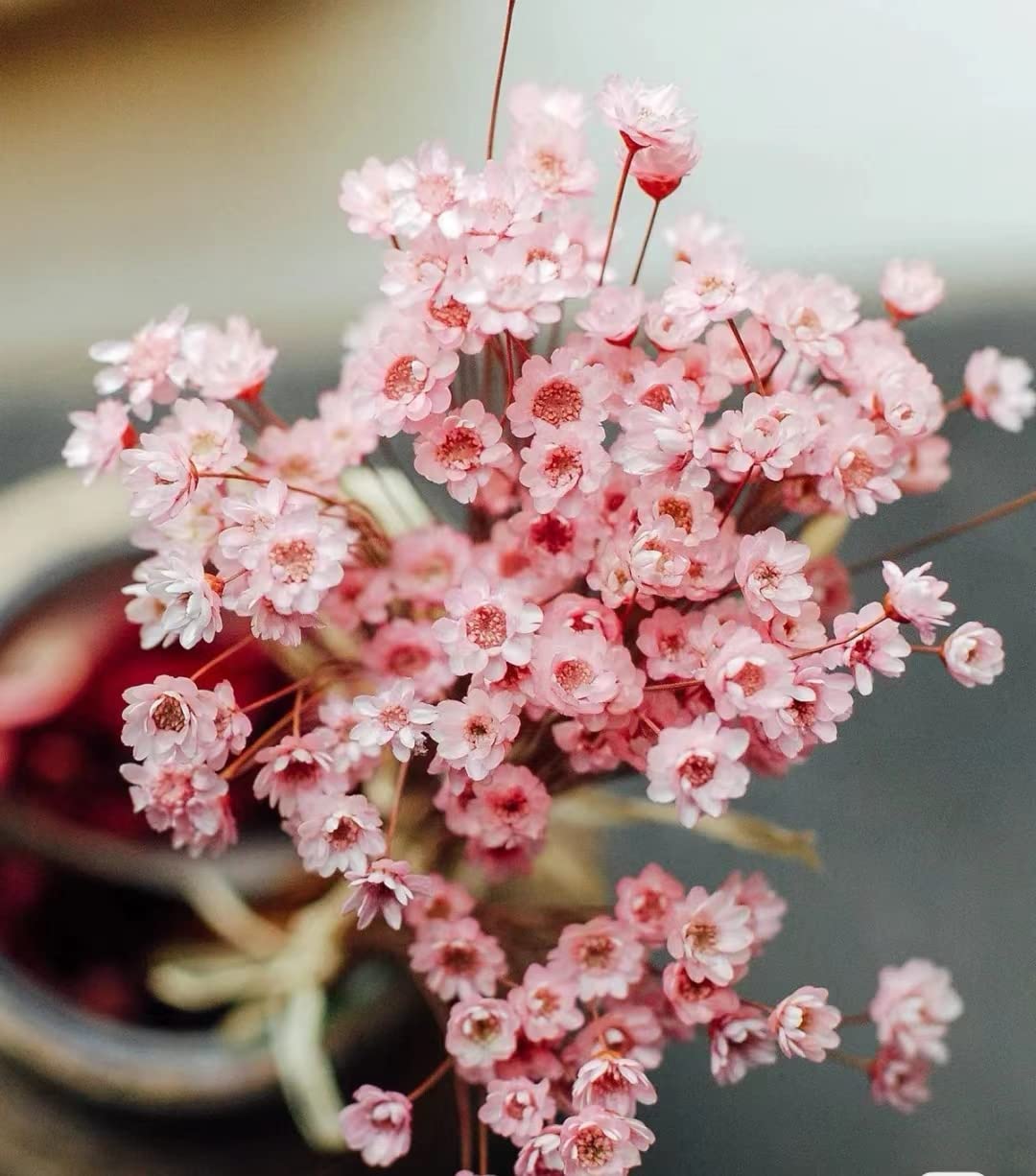 Natural - Dried - Flowers Brazilian Small Star Daisy Dried Decorative Mini Chamomile Bouquet for Wedding Floral Arrangements Home Decorations Valentine's Day Gifts (200 Stems) (Pink)