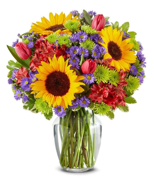 From You Flowers - Lush Sunflower Garden with Glass Vase (Fresh Flower Bouquets) Birthday, Anniversary, Get Well, Congratulations, Thank You, All Occasions