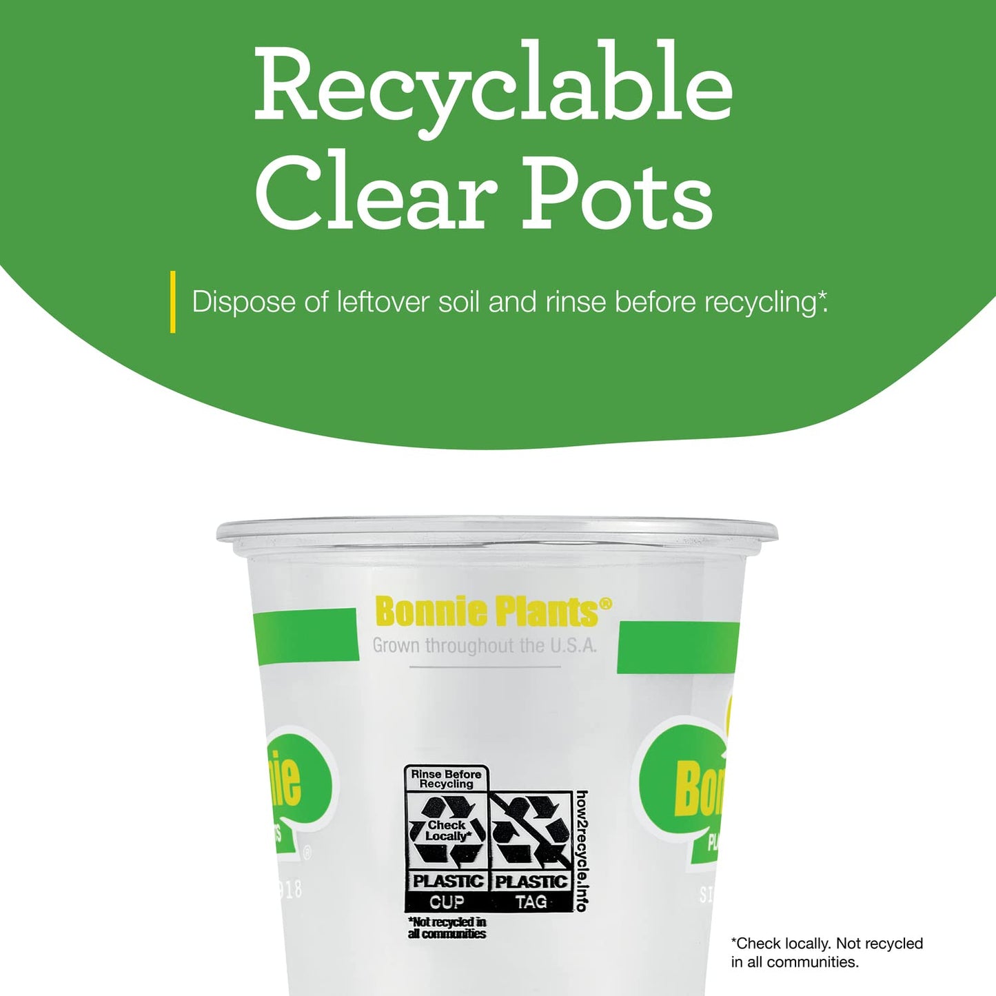 Bonnie Plants Flat Italian Parsley Live Herb Plants - 4 Pack, Biennial, Non-GMO, Garnish, Seasoning, Salads, Palate Cleanser