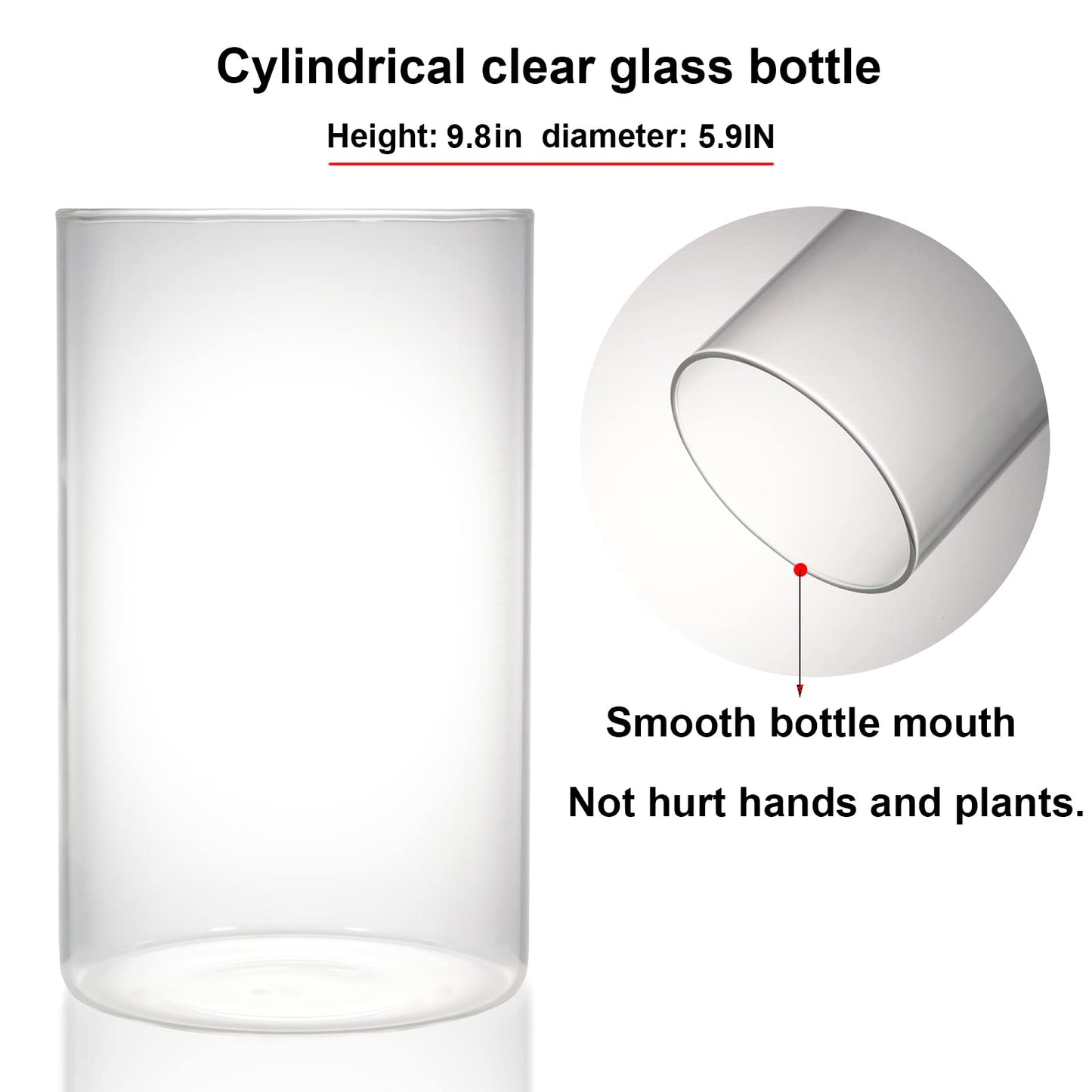 Desktop Glass Plant Terrarium with Grow Light (H:9.8" D:5.9"), for Succulent, Moss, Miniature Gardening Landscape, Betta Fish Tank, Indoor Plant Growth, Office Home Decoration, Plant Lovers Gifts