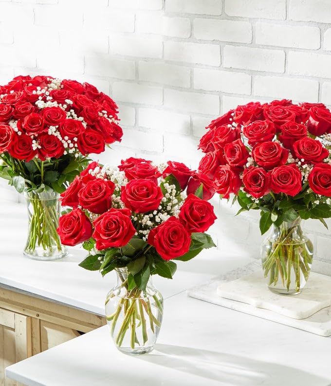 From You Flowers - Two Dozen Long Stemmed Red Roses with Glass Vase (Fresh Flower Bouquets) Birthday, Anniversary, Get Well, Congratulations, Thank You, All Occasions