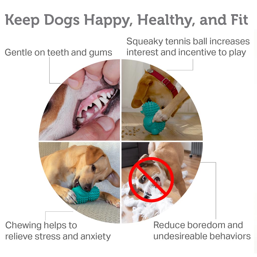 Friends Forever Squeaky Dog Toys with Tennis Ball, Tough Dog Chew Toys, Interactive Puppy Toy with Natural Rubber, Teal Hedgehog