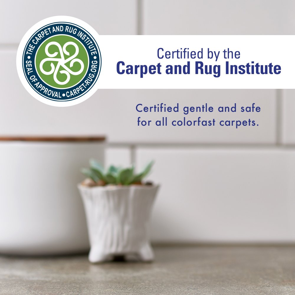 Rocco & Roxie Stain & Odor Eliminator for Strong Odor, 32oz Enzyme Pet Odor Eliminator for Home, Carpet Stain Remover for Cats & Dog Pee, Enzymatic Cat Urine Destroyer, Carpet Cleaner Spray