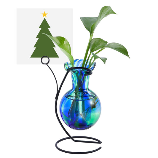 Pozfun Hand Blown Glass Plant Propagation Station with Metal Stand and Photo Holder,Tabletop Plant Terrarium for Propagating Hydroponic Office Garden Home Decor, Gifts for Women Plant Lover