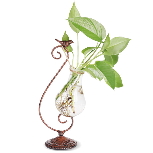 POXOHO Propagated Plant Vase, Glass Planters for Indoor Plants, with Metal Frame Vintage Pattern Iron Cast Bird, Gifts for Plant Lovers, for Indoor Desktop, Office, Home Decor