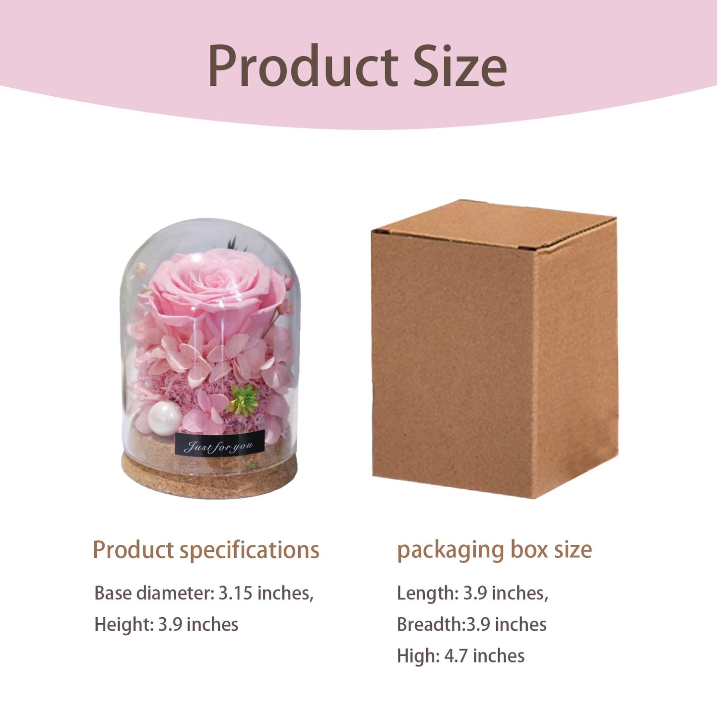 YNWYH Mini Real Preserved Roses in a Glass Dome Gifts for Friends, Classmates, and Dearest Ones (Pink)