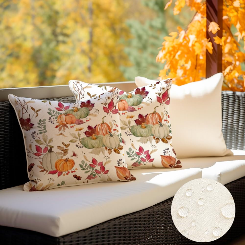 RABUSOFA Outdoor Waterproof Fall Pillow Covers 18x18 Inch,Fall Outdoor Pillows Case Set of 2,Pumpkin Autumn Thanksgiving Throw Pillows for Porch Maple Leaf(9-18)