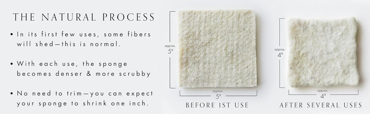 Wool Sponges 2-Pack - Environmentally Friendly, Long-lasting & Compostable - Perfect for Dishes, Face, Body & Surfaces