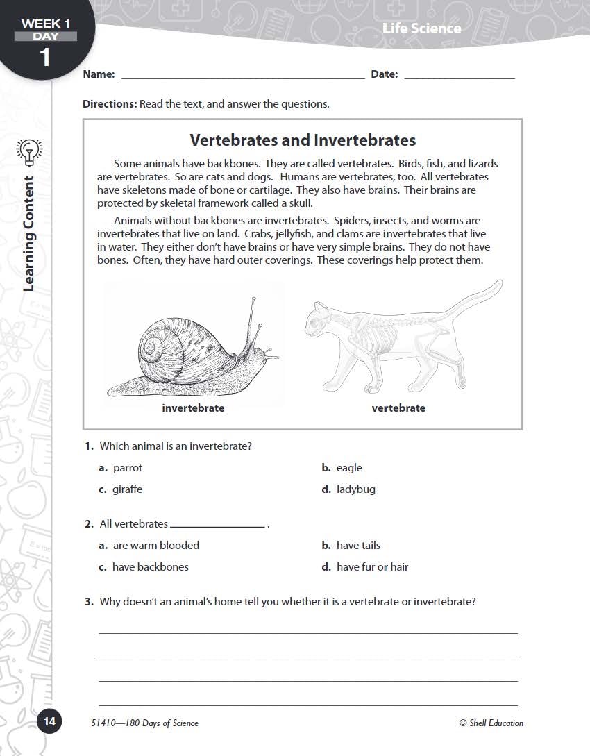 180 Days™: Science, Earth and Space Science for 4th Grade Practice Workbook for Classroom and Home, Cool and Fun Practice Created by Teachers (180 Days of Practice)
