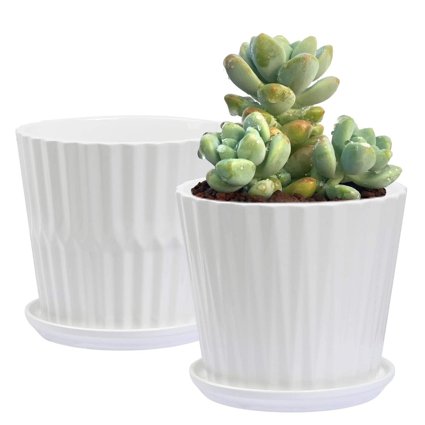 Plant Pots - 5.5 Inch Cylinder Ceramic Planters with Connected Saucer, Pots for Succuelnt and Little Snake Plants, Set of 4, White
