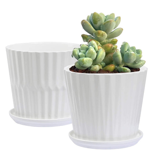 Plant Pots - 5.5 Inch Cylinder Ceramic Planters with Connected Saucer, Pots for Succuelnt and Little Snake Plants, Set of 4, White