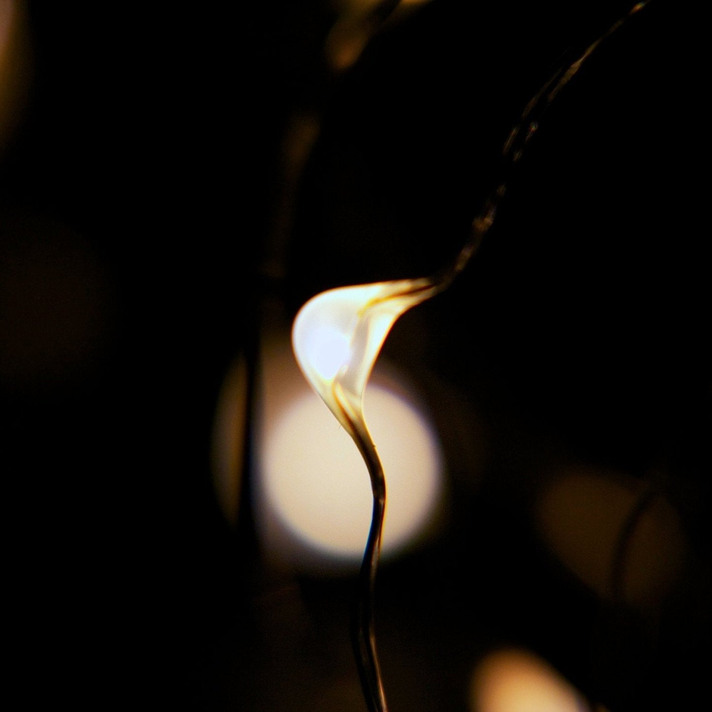 RTGS 30 LEDs Warm White Color String Lights Silver Wire Indoor and Outdoor 9.5 Feet Firefly Starry Fairy Lights Battery Powered for DIY, Christmas, Holidays, Party, Bedroom and Centerpieces