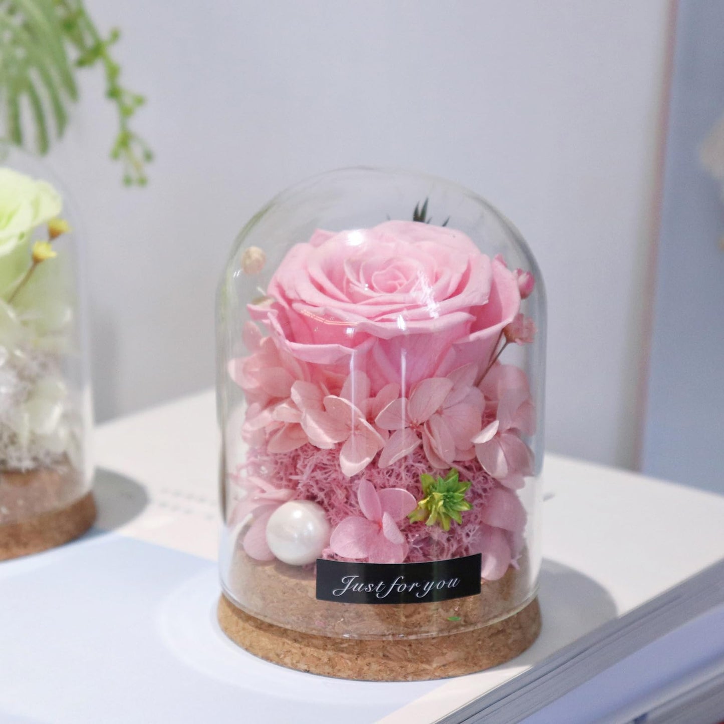 YNWYH Mini Real Preserved Roses in a Glass Dome Gifts for Friends, Classmates, and Dearest Ones (Pink)