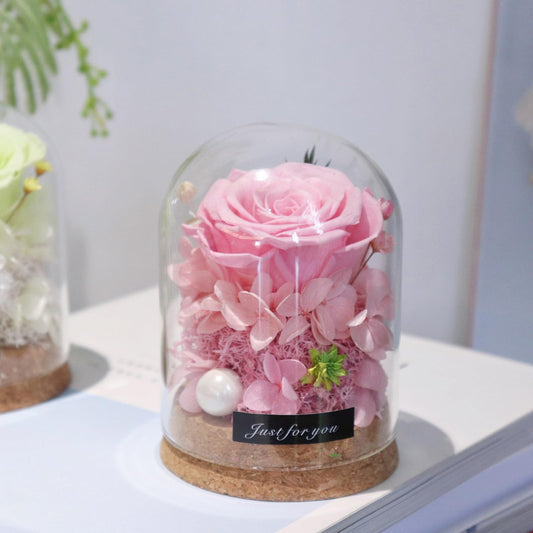 YNWYH Mini Real Preserved Roses in a Glass Dome Gifts for Friends, Classmates, and Dearest Ones (Pink)