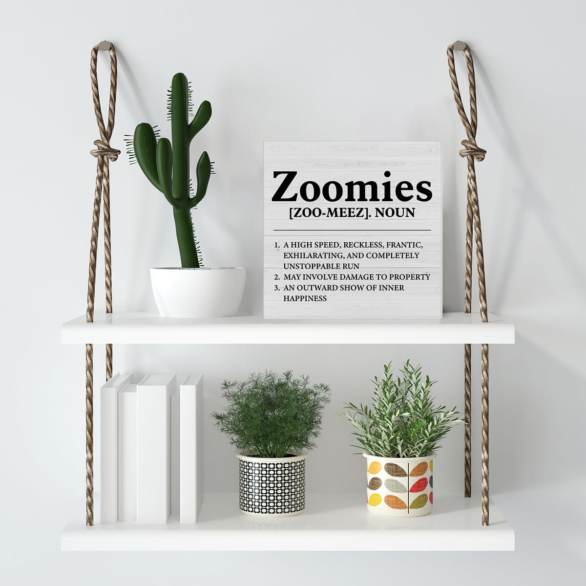 Dumyum Dog Lover Gift Zoomies Definition Wooden Box Sign Dog Theme Desk Decorative Wooden Sign Home Decor for Desk Table Shelf 5 x 5 Inches
